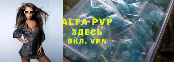 сатива Богданович