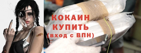 сатива Богданович