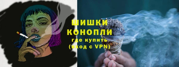 МДПВ Богородицк