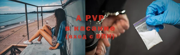 сатива Богданович
