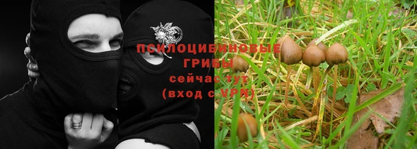 сатива Богданович