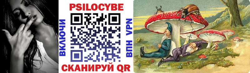 Псилоцибиновые грибы ЛСД  дарнет шоп  Маркс 