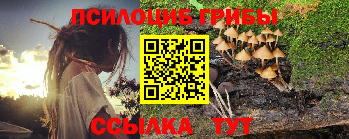 Маркс  Галлюциногенные грибы GOLDEN TEACHER  Вход с VPN 