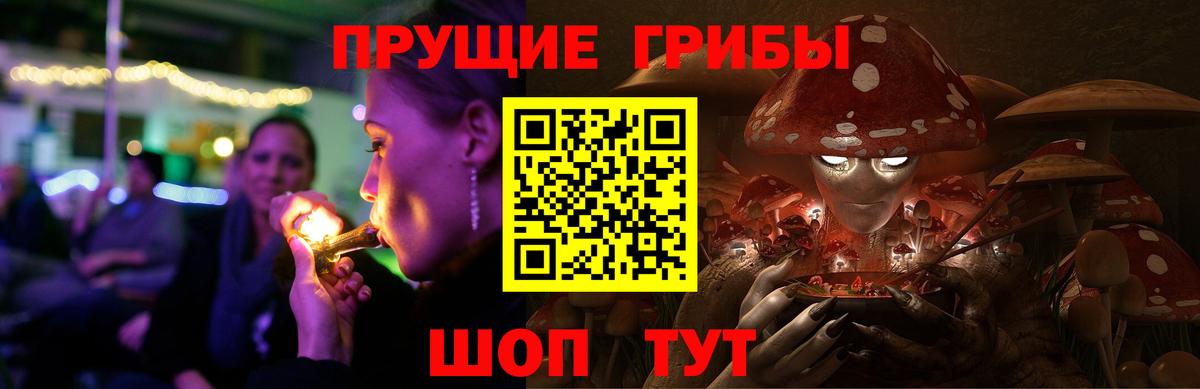 Псилоцибиновые грибы Psilocybe Маркс